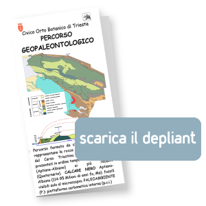 ScaricaDepliantGeopaleontologico
