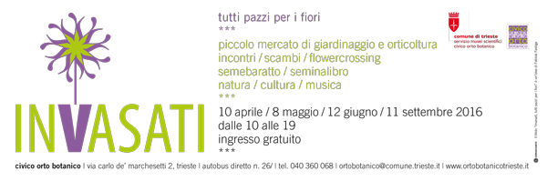 piedino-piccolo-2016_INVASATI